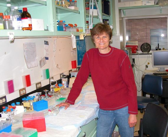 Kariko Katalin có 30 năm đi tìm mRNA với nhiều lần bị từ chối