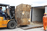 Gần 500 container phế liệu tại cảng Hải Phòng đã được thông quan