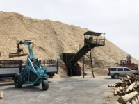Dăm gỗ xuất khẩu chết kẹt vì Trung Quốc