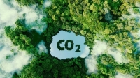 Đưa Việt Nam vào thị trường carbon trăm tỷ USD